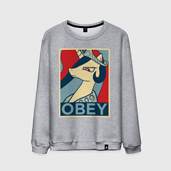 Свитшот хлопковый мужской Trixie OBEY, цвет: меланж