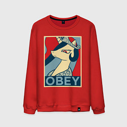 Свитшот хлопковый мужской Trixie OBEY, цвет: красный