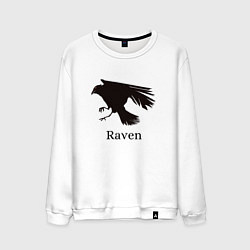 Мужской свитшот Raven