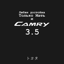 Свитшот хлопковый мужской Camry 3 5, цвет: черный — фото 2