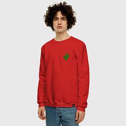 Свитшот хлопковый мужской Кактус, цвет: красный — фото 2