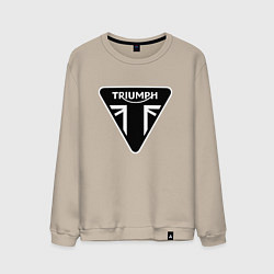 Свитшот хлопковый мужской Triumph Мото Лого Z, цвет: миндальный