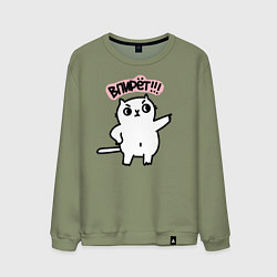 Мужской свитшот Кот впирёт