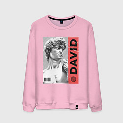 Свитшот хлопковый мужской Обложка журнала Статуя Давида, цвет: светло-розовый