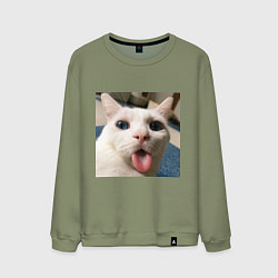 Свитшот хлопковый мужской Мем про кота, цвет: авокадо