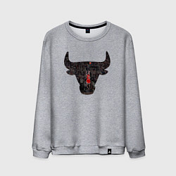 Свитшот хлопковый мужской Bulls - Jordan, цвет: меланж