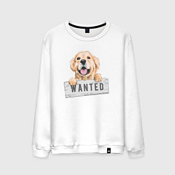 Мужской свитшот Dog Wanted