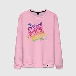 Свитшот хлопковый мужской Rainbow Cat, цвет: светло-розовый