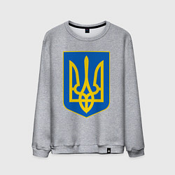 Свитшот хлопковый мужской Украина Герб Украины, цвет: меланж