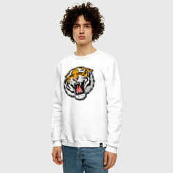 Свитшот хлопковый мужской Tiger, цвет: белый — фото 2
