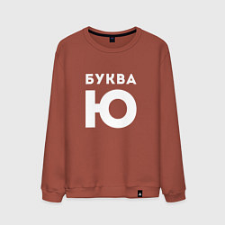 Свитшот хлопковый мужской Буква Ю Мем, цвет: кирпичный