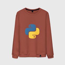 Свитшот хлопковый мужской Python язык, цвет: кирпичный
