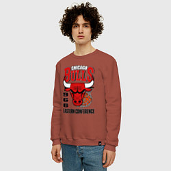 Свитшот хлопковый мужской Chicago Bulls NBA, цвет: кирпичный — фото 2