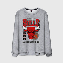 Свитшот хлопковый мужской Chicago Bulls NBA, цвет: меланж