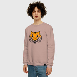 Свитшот хлопковый мужской Тигр логотип, цвет: пыльно-розовый — фото 2