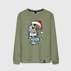 Мужской свитшот X-mas Owl