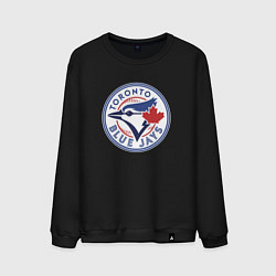 Мужской свитшот Toronto Blue Jays
