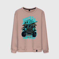 Свитшот хлопковый мужской Авто чемпион дорог, цвет: пыльно-розовый