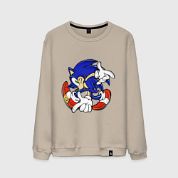 Мужской свитшот Blue Hedgehog