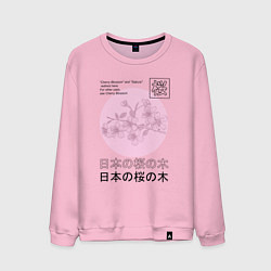Мужской свитшот Sakura in Japanese style