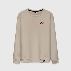 Мужской свитшот F-1 MINI LOGO