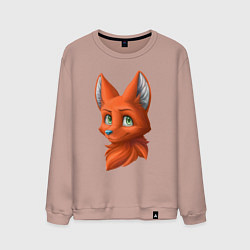 Свитшот хлопковый мужской Милая лисичка Cute fox, цвет: пыльно-розовый