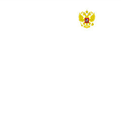 Свитшот хлопковый мужской Герб россии карман спина, цвет: белый — фото 2