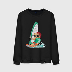 Свитшот хлопковый мужской МИШКА ВИНДСЕРФЕР BEAR WINDSURFER, цвет: черный