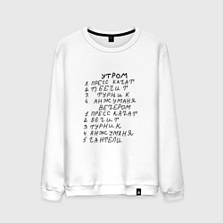 Свитшот хлопковый мужской Анжуманя, цвет: белый