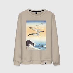 Свитшот хлопковый мужской Five Seagulls Above Turbulent Sea, цвет: миндальный
