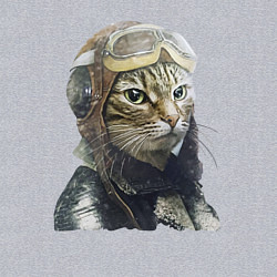 Свитшот хлопковый мужской Кот - пилот The pilot Cat, цвет: меланж — фото 2