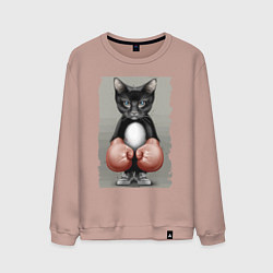 Свитшот хлопковый мужской Крутой котяра в боксёрских перчатках Cool cat in b, цвет: пыльно-розовый