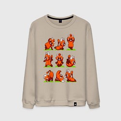 Свитшот хлопковый мужской Йога красной панды, цвет: миндальный