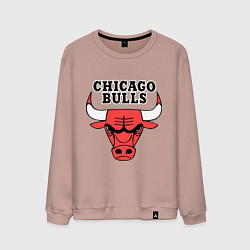 Свитшот хлопковый мужской Chicago Bulls, цвет: пыльно-розовый