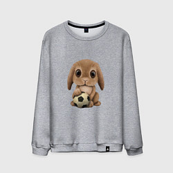 Свитшот хлопковый мужской Футбол - Кролик, цвет: меланж