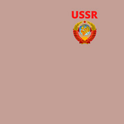 Свитшот хлопковый мужской USSR логотип, цвет: пыльно-розовый — фото 2
