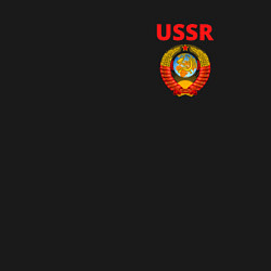 Свитшот хлопковый мужской USSR логотип, цвет: черный — фото 2