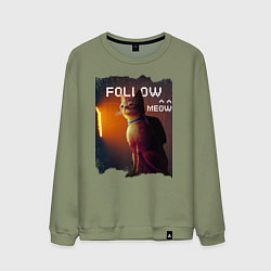 Свитшот хлопковый мужской STRAY FOLLOW MEOW, цвет: авокадо