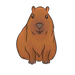 Свитшот хлопковый мужской Капибара сидит и радуется, цвет: белый — фото 2