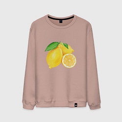 Свитшот хлопковый мужской Сочные лимоны, цвет: пыльно-розовый