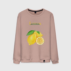 Свитшот хлопковый мужской Lemon лимон, цвет: пыльно-розовый
