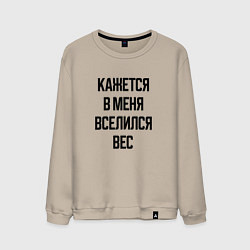 Мужской свитшот Лишний вес
