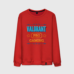 Мужской свитшот Игра Valorant pro gaming