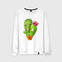 Свитшот хлопковый мужской Любовь и кактусы, цвет: белый