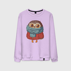 Свитшот хлопковый мужской Милый совенок с большими глазами, цвет: лаванда