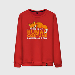 Свитшот хлопковый мужской Это мой костюм человека - на самом деле я лиса, цвет: красный