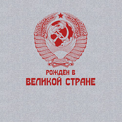 Свитшот хлопковый мужской Рожден в великой Стране, цвет: меланж — фото 2