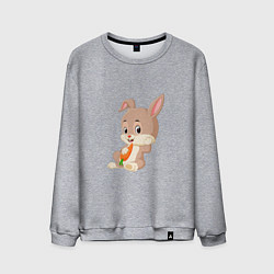 Свитшот хлопковый мужской Кролик с морковочкой, цвет: меланж