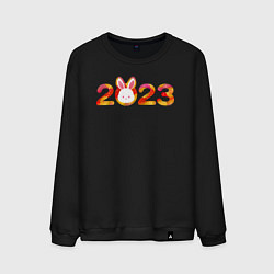 Свитшот хлопковый мужской Новый год 2023, цвет: черный