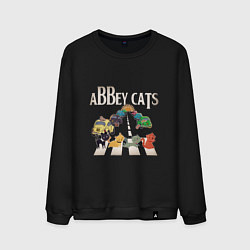Мужской свитшот Abbey cats